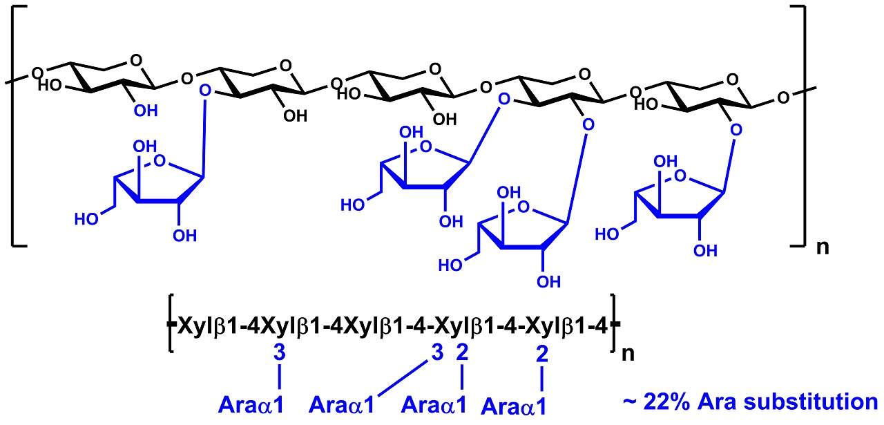 Wheat Arabinoxylan (acid debranched, 22% Ara) (P-ADWAX22) Wheat Arabinoxylan (acid debranched, 22% Ara) (P-ADWAX22)