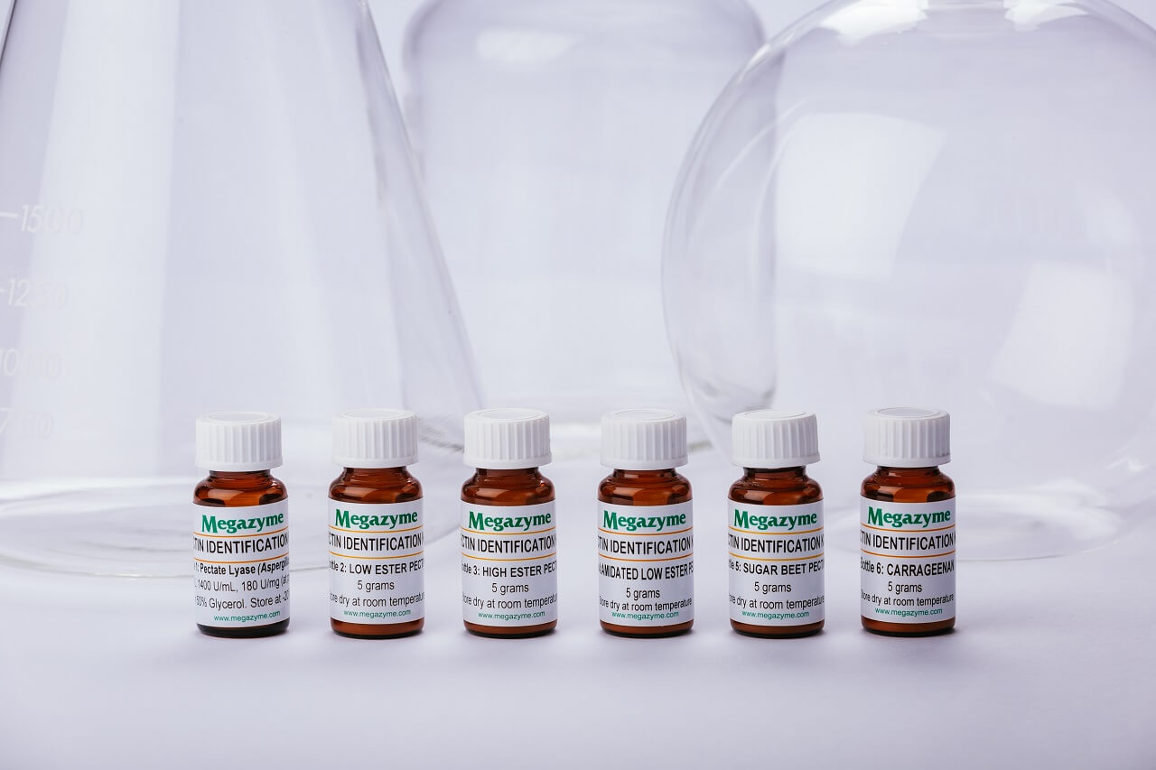 Pectin Identification Assay Kit (K-PECID)
