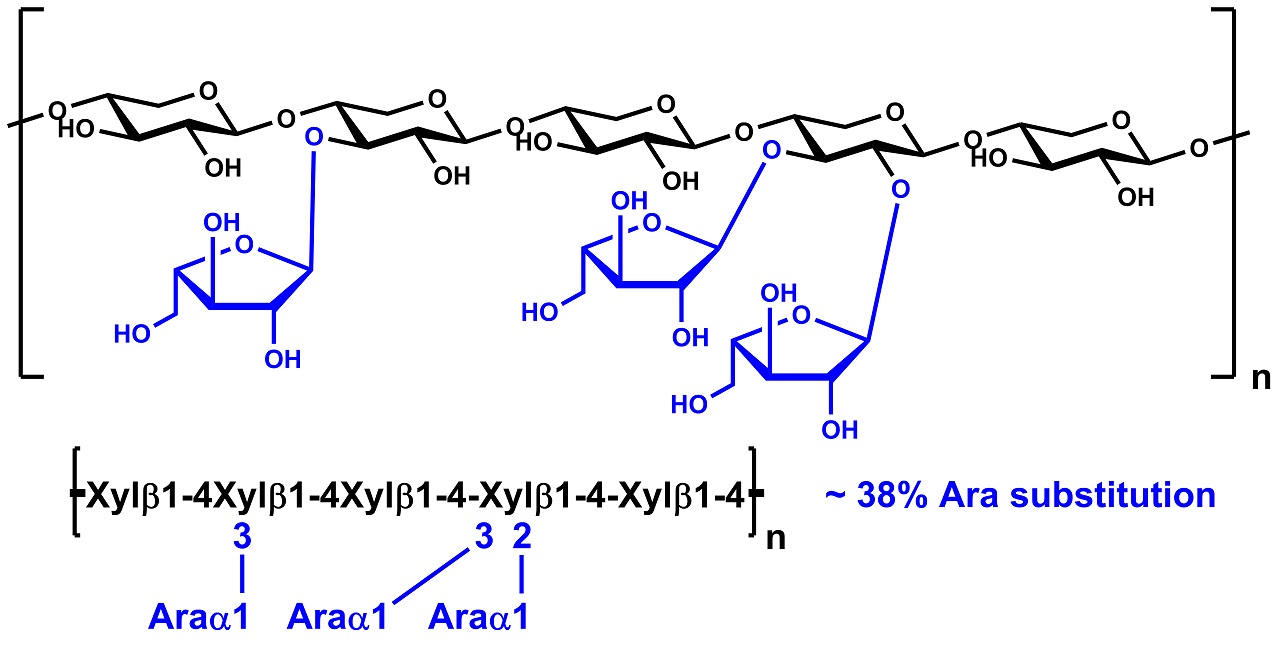 Arabinoxylan (Wheat Flour for Reducing Sugar Assays) (P-WAXYRS) Arabinoxylan (Wheat Flour for Reducing Sugar Assays) (P-WAXYRS)