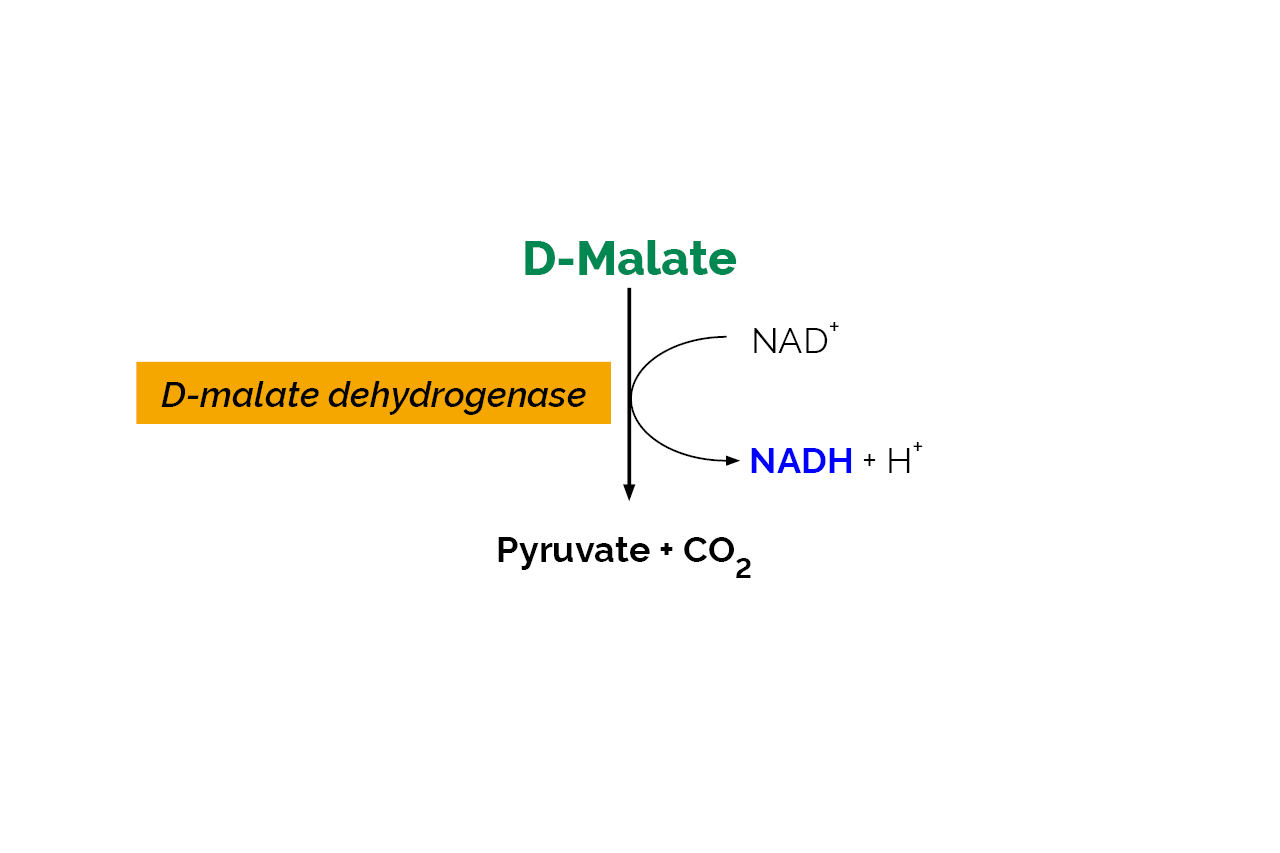 D-Malic Acid Assay Kit (K-DMAL) Scheme