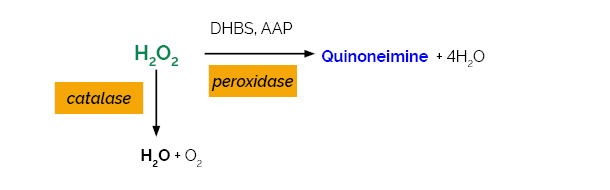 Scheme-K-CATAL CATAL Megazyme