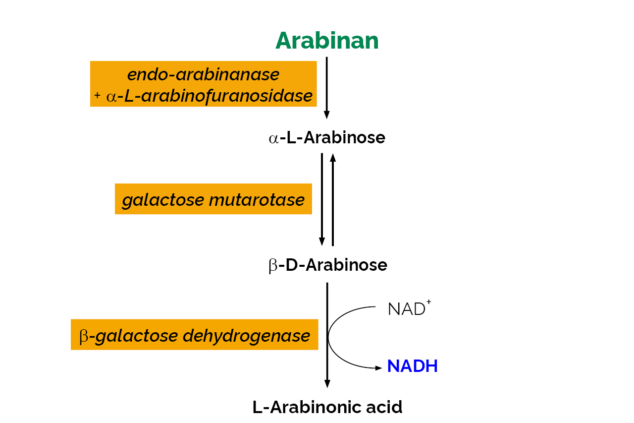 Arabinan Assay Kit (K-ARAB) Scheme Arabinan Assay Kit (K-ARAB) Scheme