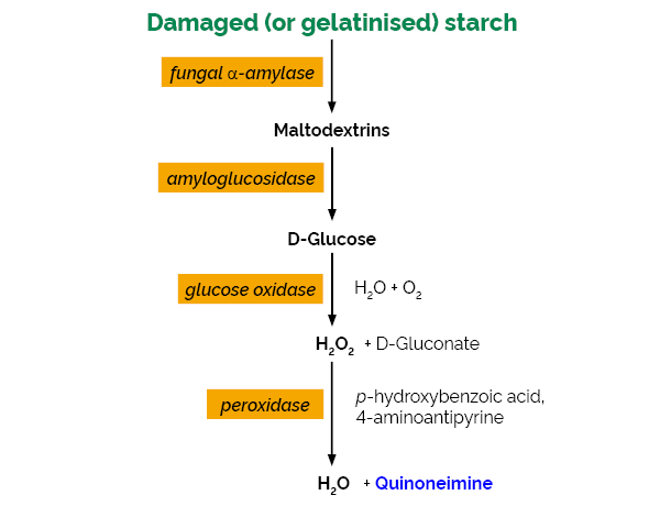 Scheme-K-SDAM SDAM Megazyme