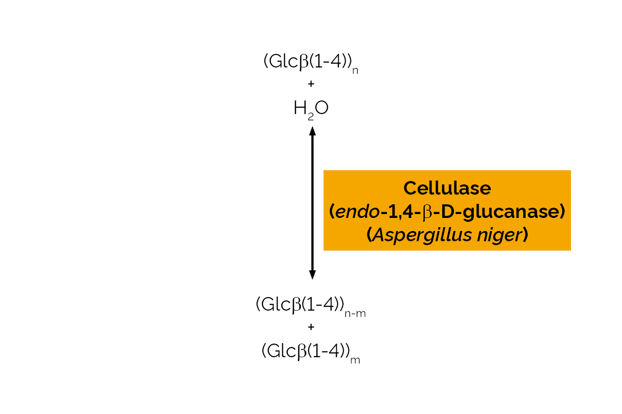 Cellulase (endo-1,4-beta-D-glucanase) (Aspergillus niger) (E-CELAN) Scheme Cellulase (endo-1,4-beta-D-glucanase) (Aspergillus niger) (E-CELAN) Scheme