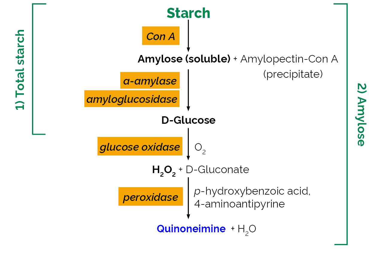 Amylose/Amylopectin Assay Kit (K-AMYL) Scheme