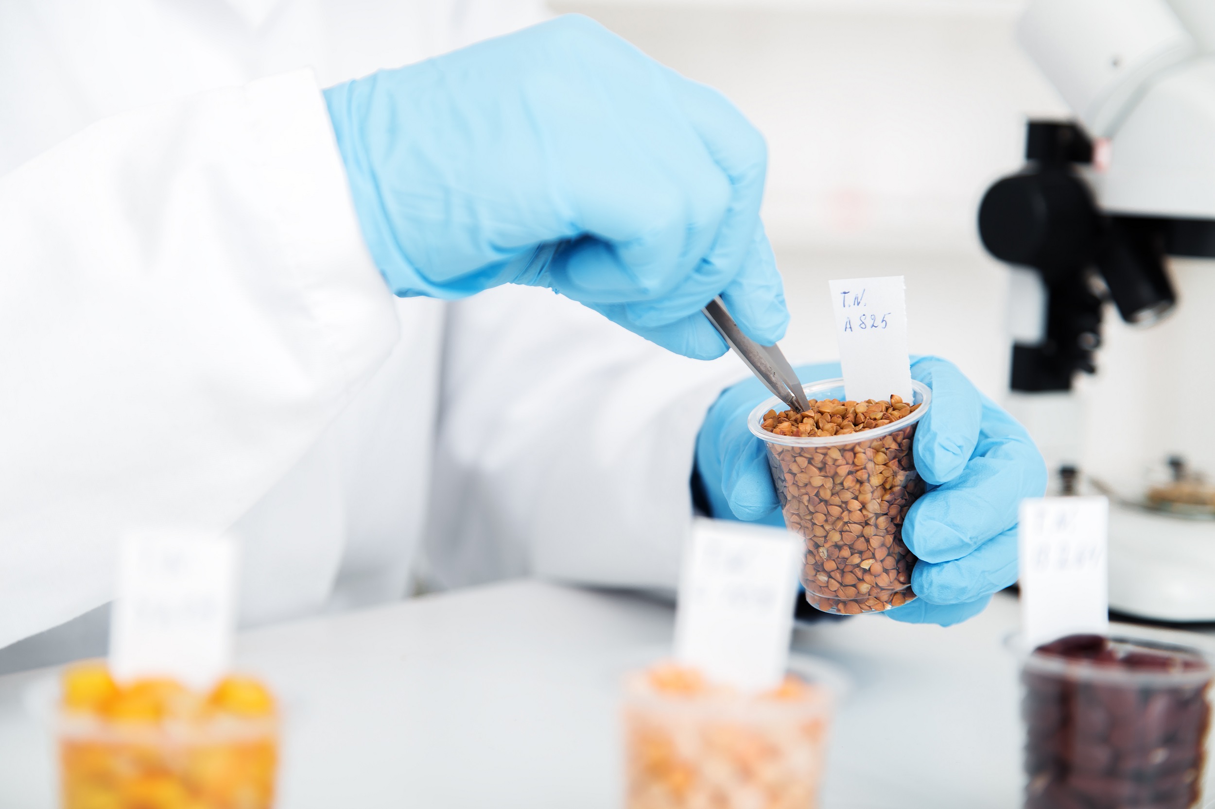 Testing-Cereals