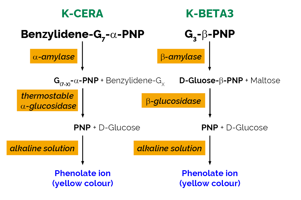 Malt Amylase Assay Kit (K-MALTA) Scheme Malt Amylase Assay Kit (K-MALTA) Scheme