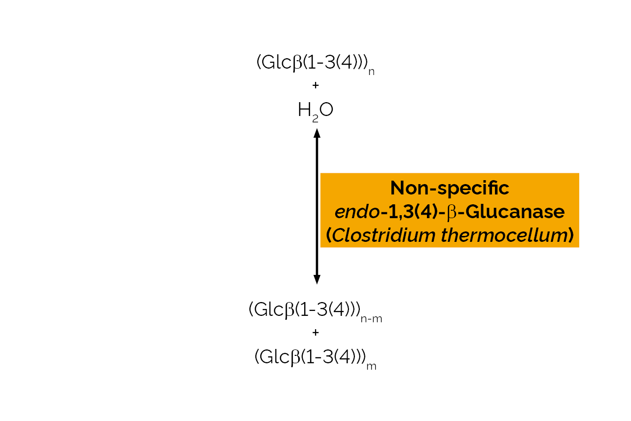 Non-specific endo-1,3(4)-beta-Glucanase (Clostridium thermocellum) (E-LICACT) Scheme
