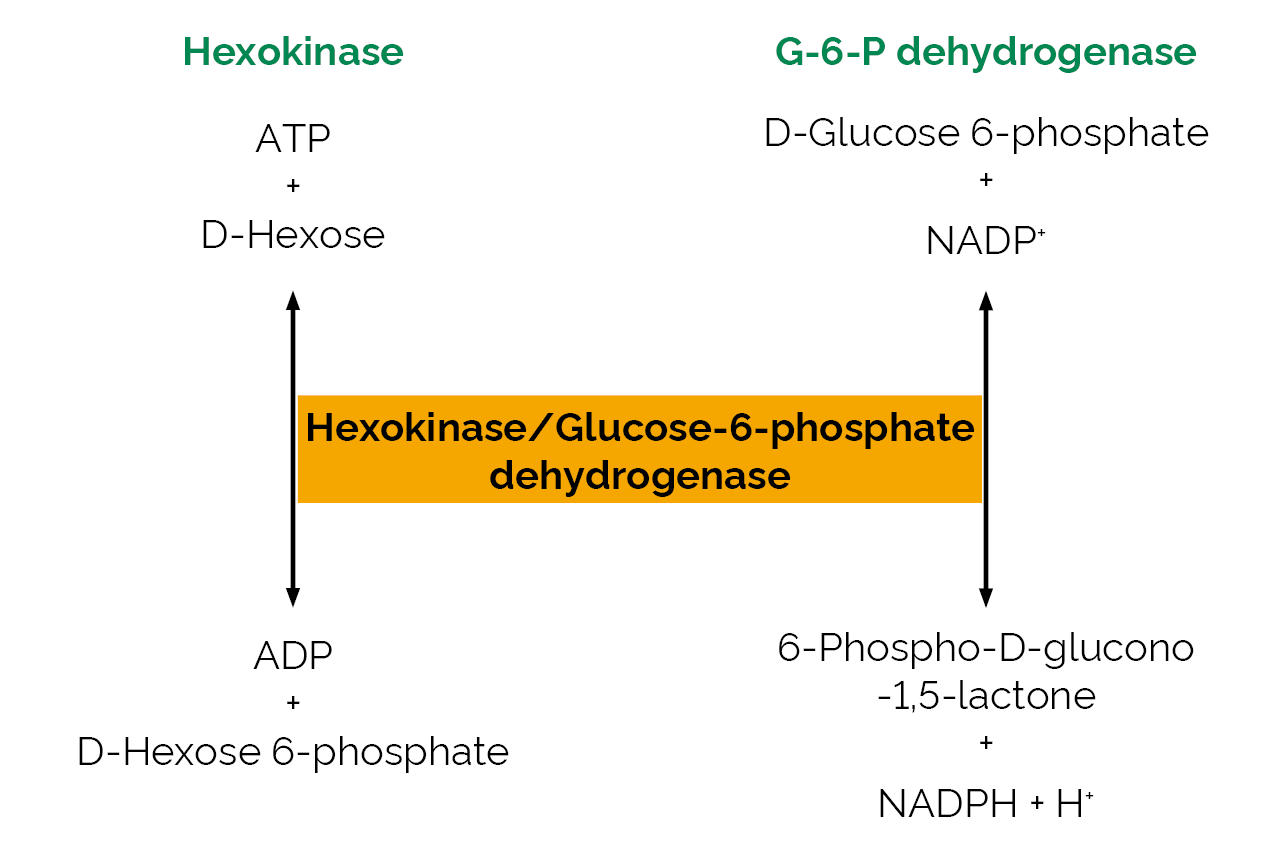 Hexokinase/Glucose-6-phosphate dehydrogenase (E-HKGDH) Scheme Hexokinase/Glucose-6-phosphate dehydrogenase (E-HKGDH) Scheme