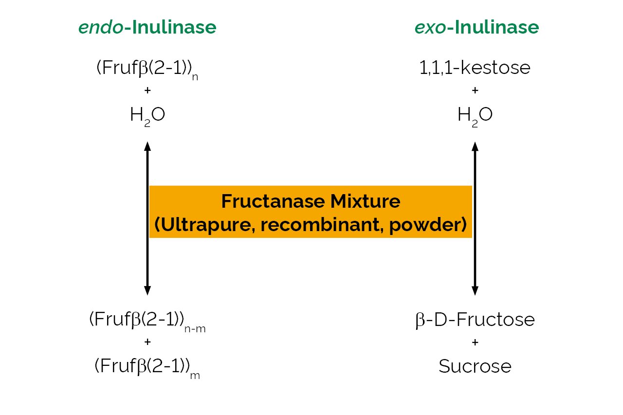 Fructanase Mixture (Ultrapure, recombinant, powder) (E-FRPDPU) Scheme Fructanase Mixture (Ultrapure, recombinant, powder) (E-FRPDPU) Scheme