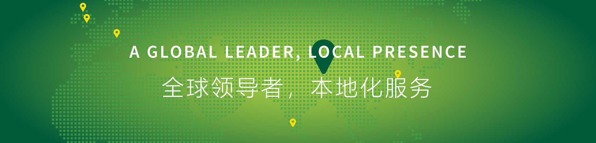 Chinese Price List Megazyme Neogen
