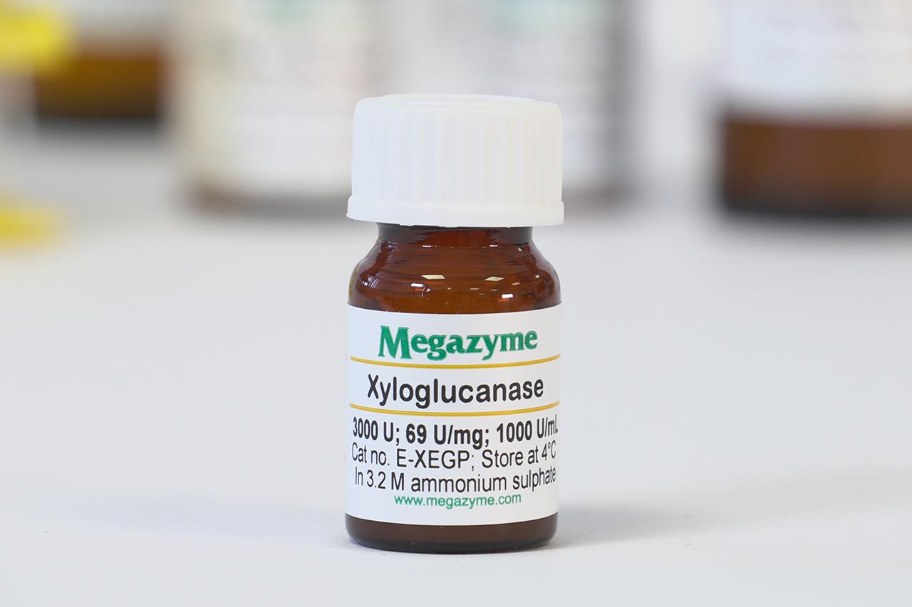 Xyloglucanase (GH5) (Paenibacillus sp) (E-XEGP) Xyloglucanase (GH5) (Paenibacillus sp) (E-XEGP)
