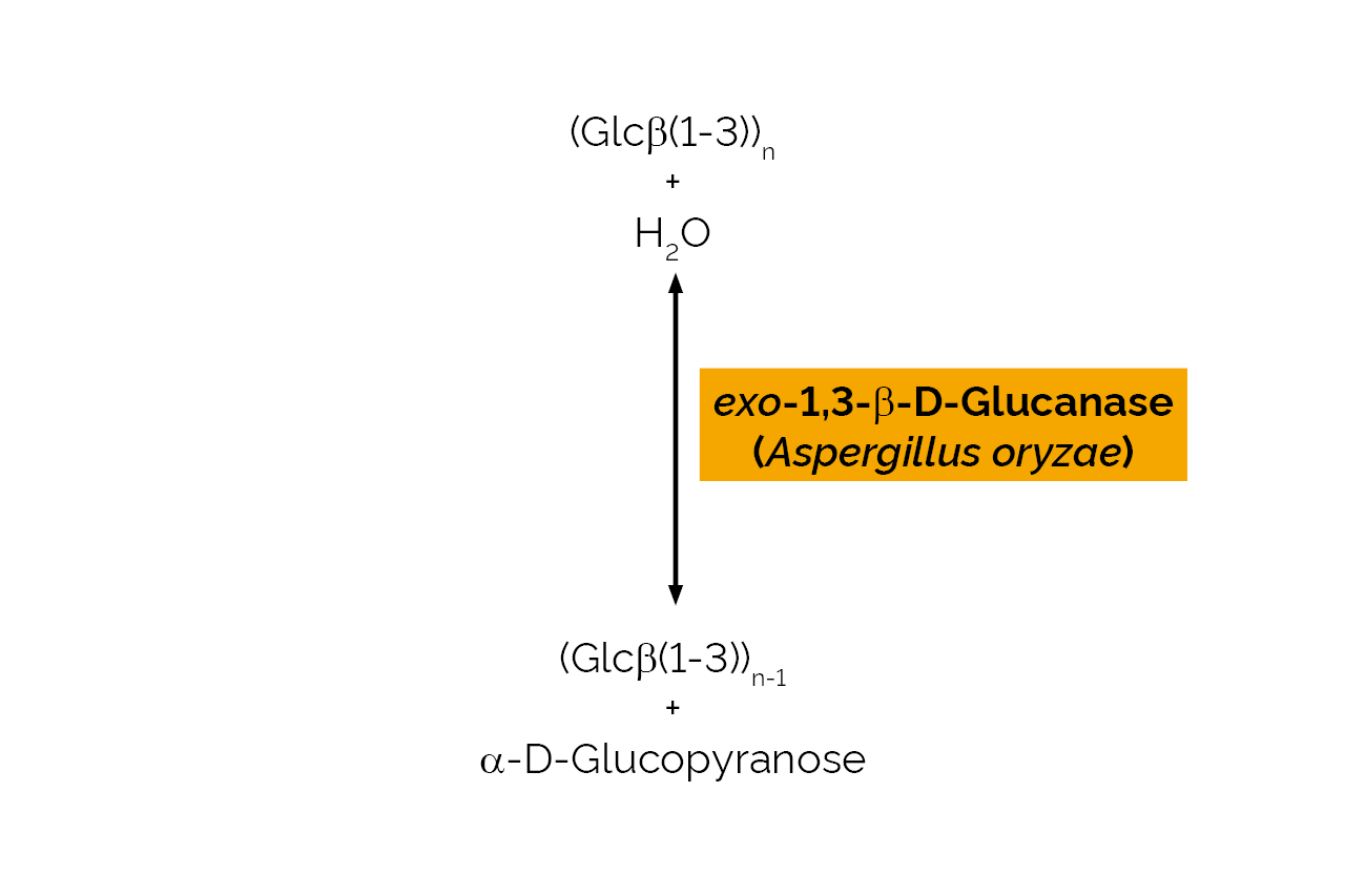 exo-1,3-beta-D-Glucanase (Aspergillus oryzae) (E-EXG5AO) Scheme exo-1,3-beta-D-Glucanase (Aspergillus oryzae) (E-EXG5AO) Scheme