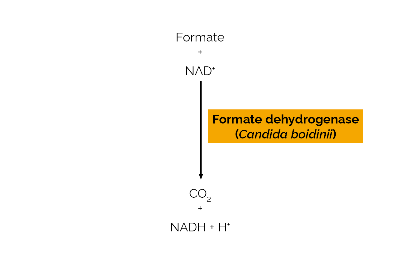 Formate dehydrogenase (Candida boidinii) (E-FDHCB) Scheme Formate dehydrogenase (Candida boidinii) (E-FDHCB) Scheme