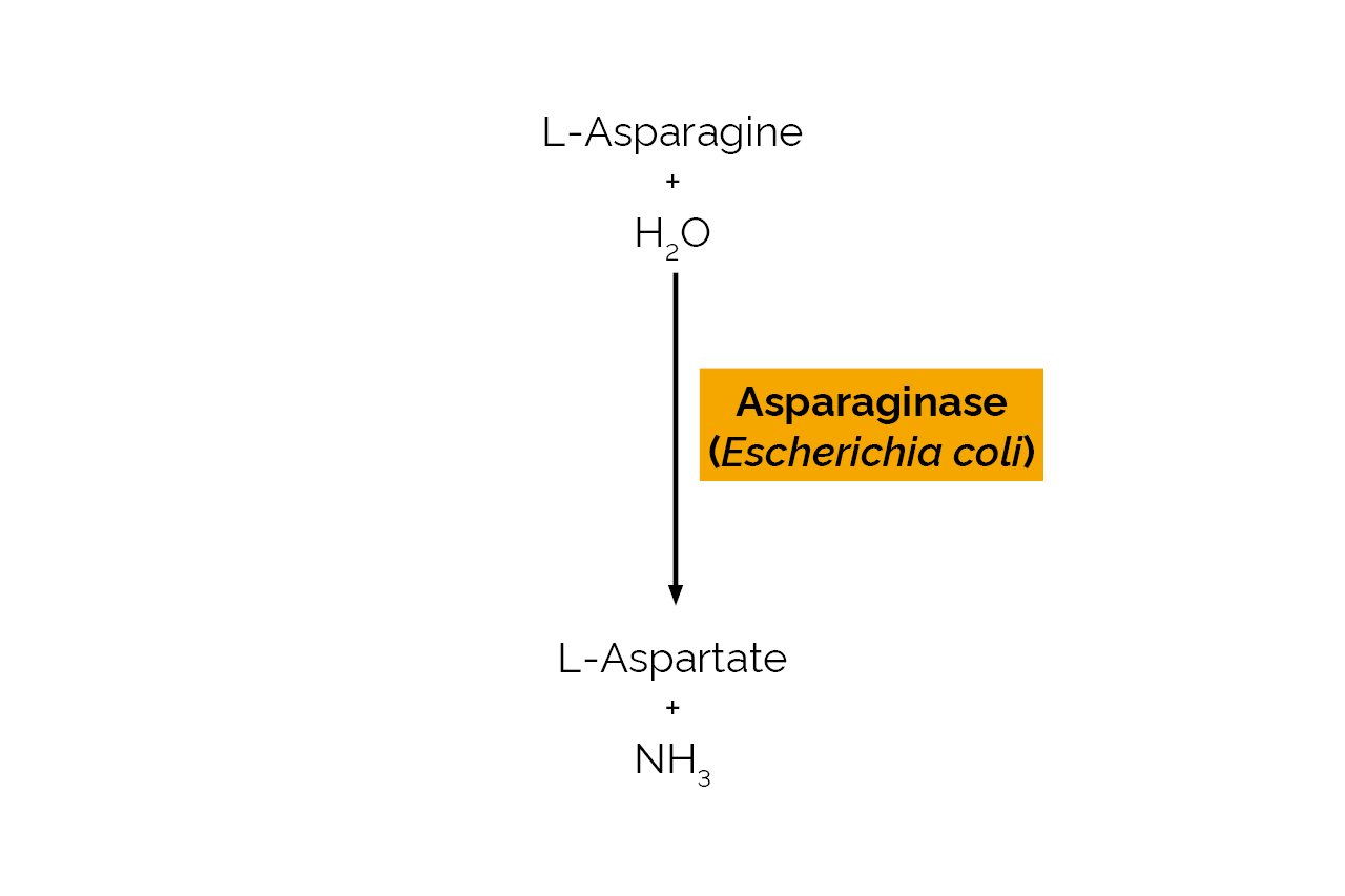 Asparaginase (Escherichia coli) (E-ASNEC) Scheme Asparaginase (Escherichia coli) (E-ASNEC) Scheme