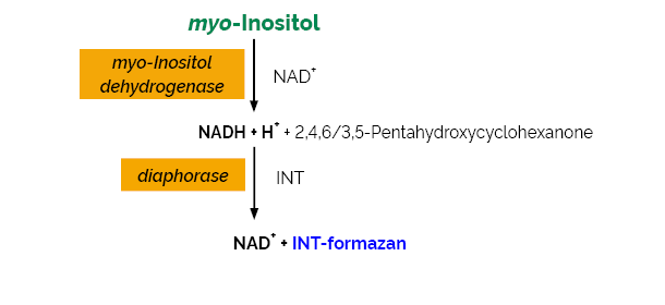 Scheme-K-INOSL INOSL Megazyme
