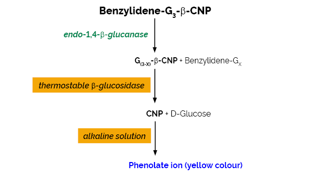 Scheme-K-CellG3 CellG3 Megazyme