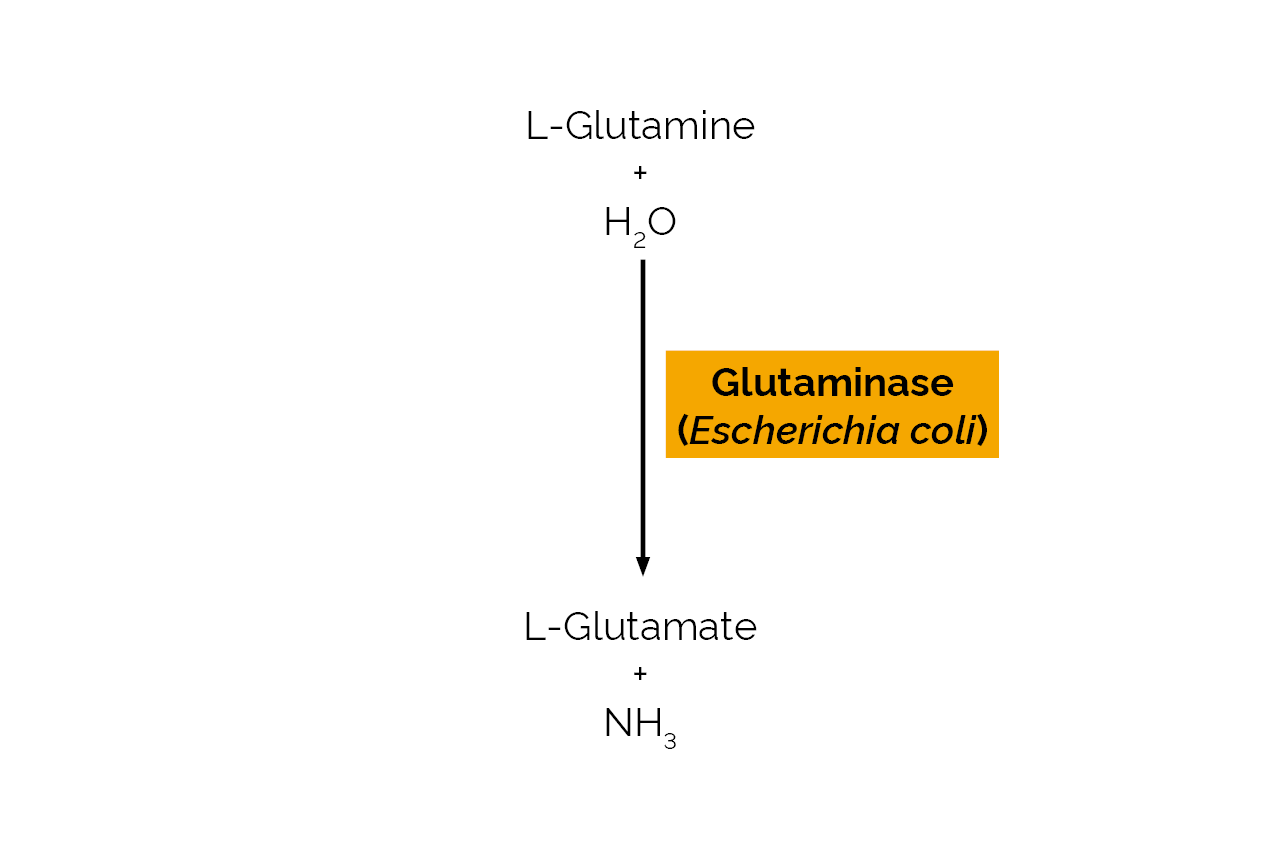 Glutaminase (Escherichia coli) (E-GLUTEC) Scheme Glutaminase (Escherichia coli) (E-GLUTEC) Scheme
