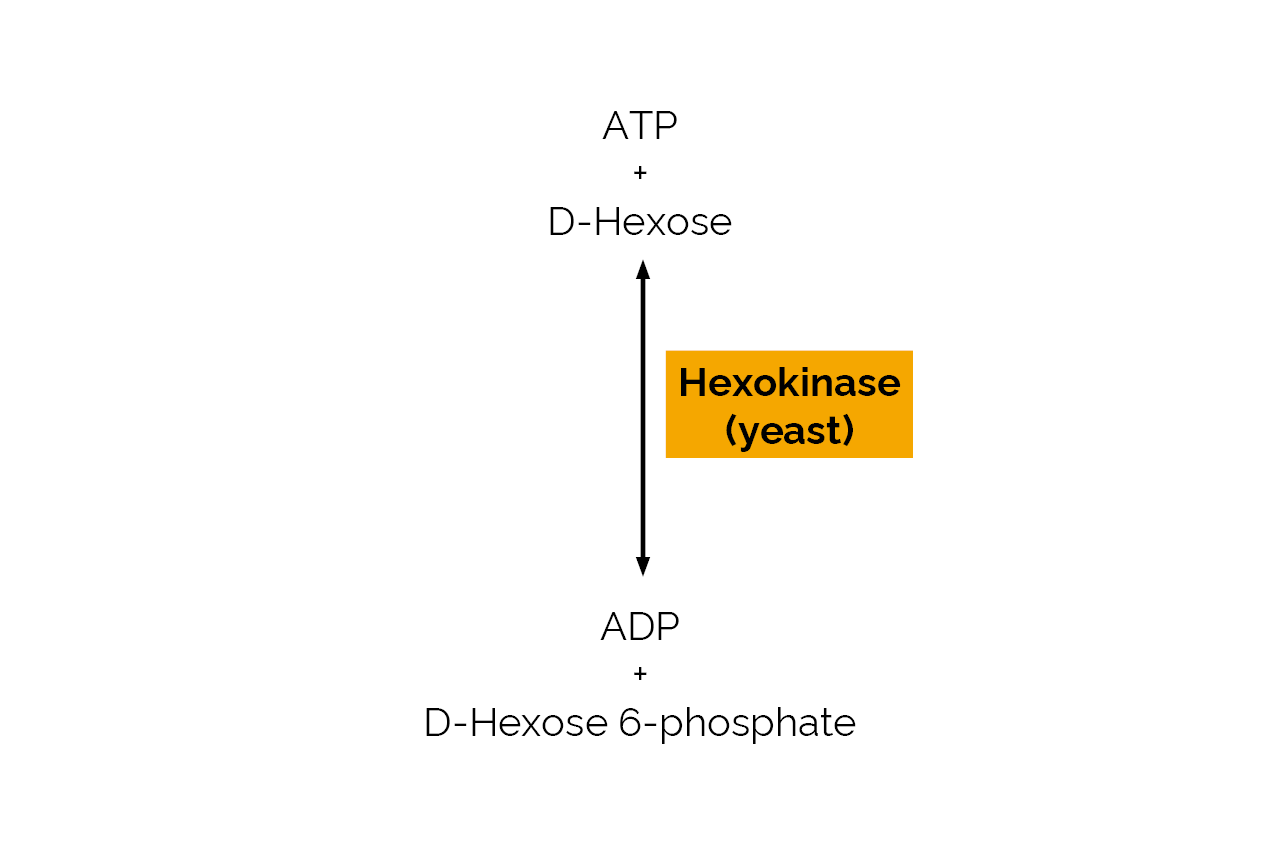 Hexokinase (yeast) (E-HEX10) Scheme