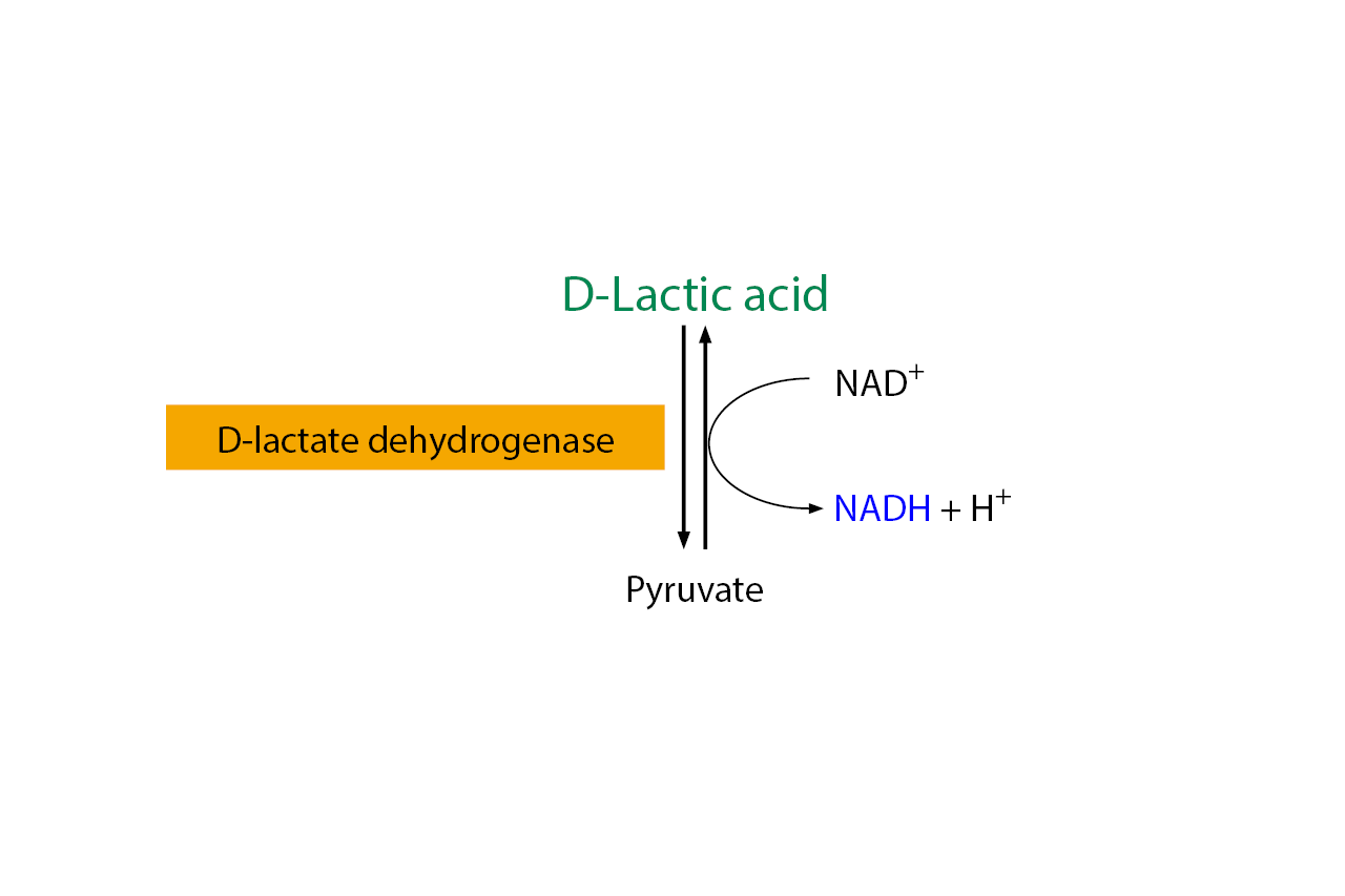 D-Lactic Acid Assay Kit (Liquid Ready™) (K-DATELQ) Scheme D-Lactic Acid Assay Kit (Liquid Ready™) (K-DATELQ) Scheme