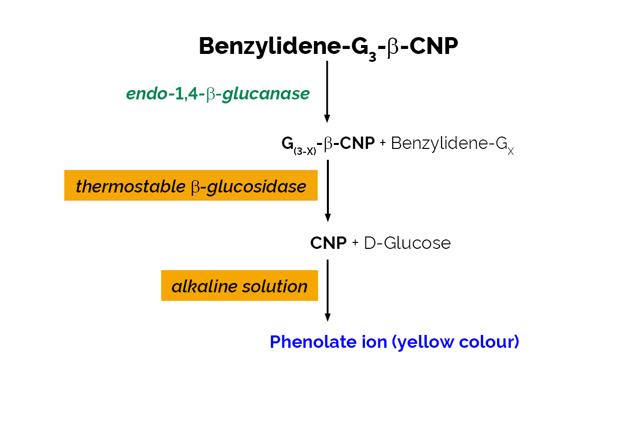 Cellulase Assay Kit (CellG3 Method) (K-CellG3) Scheme