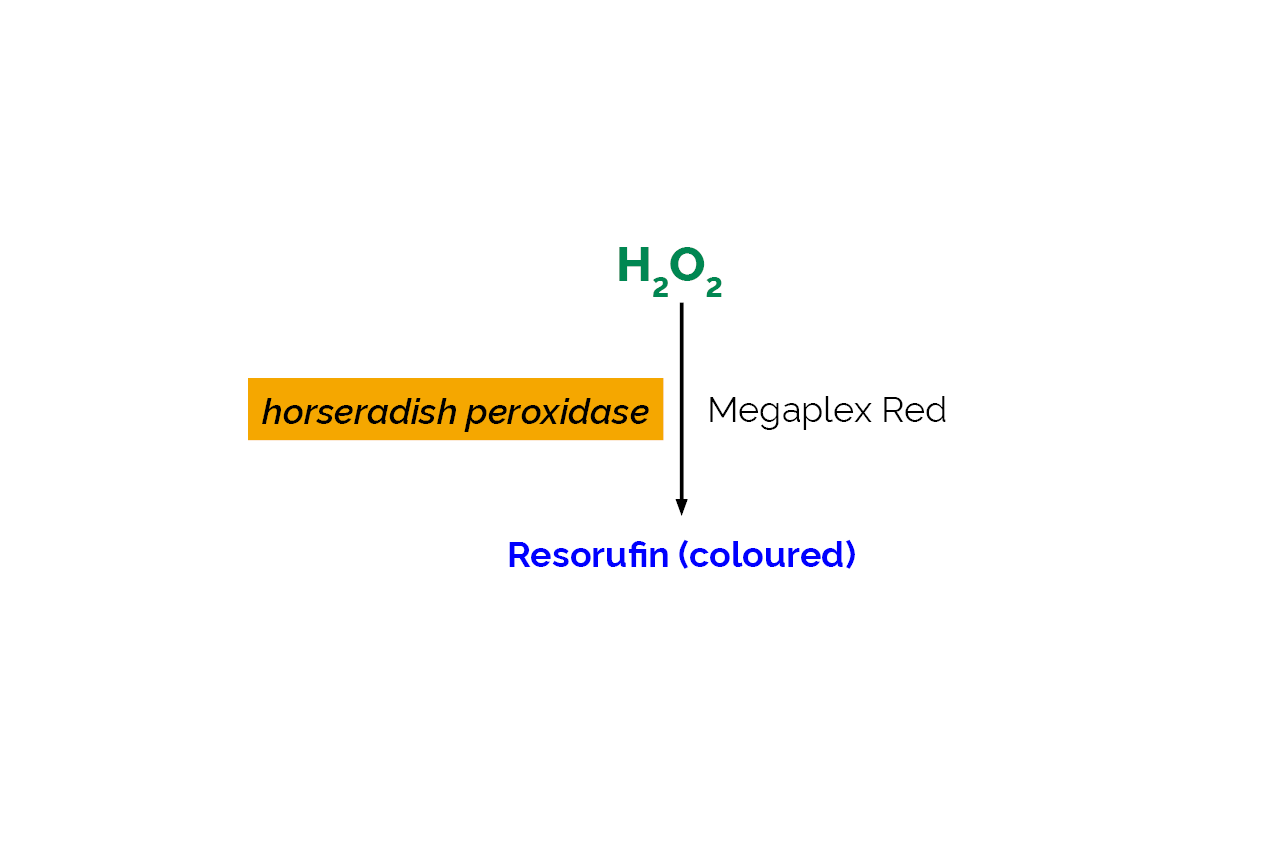 Hydrogen Peroxide Assay Kit (Megaplex Red) (K-MRH2O2) Scheme