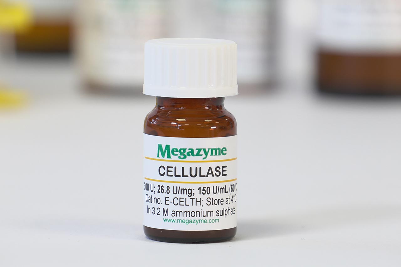 Cellulase (endo-1,4-beta-D-glucanase) (Thermobifida halotolerans) (E-CELTH)