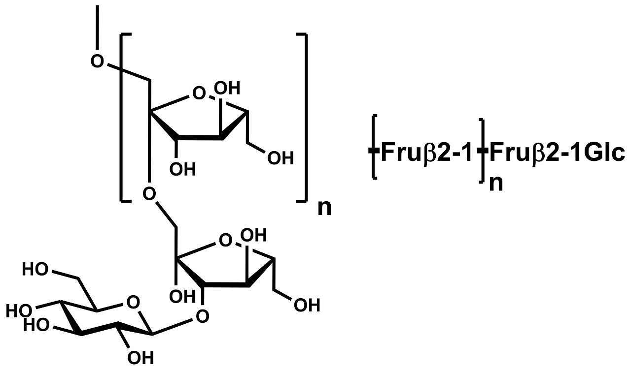 Inulin (P-INUL) Inulin (P-INUL)