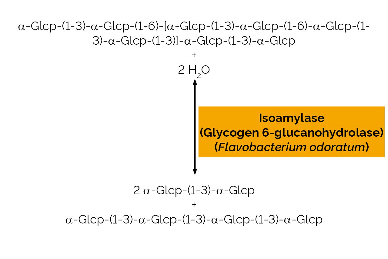 Isoamylase (Glycogen 6-glucanohydrolase) (Flavobacterium odoratum) (E-ISAMYFO) Scheme Isoamylase (Glycogen 6-glucanohydrolase) (Flavobacterium odoratum) (E-ISAMYFO) Scheme