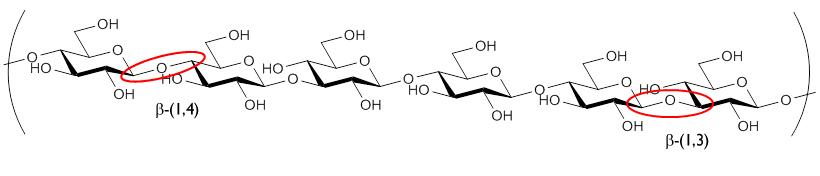 Mixed-Linkage-Beta-Glucan