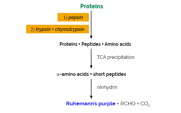 Scheme-K-PDCAAS PDCAAS Megazyme