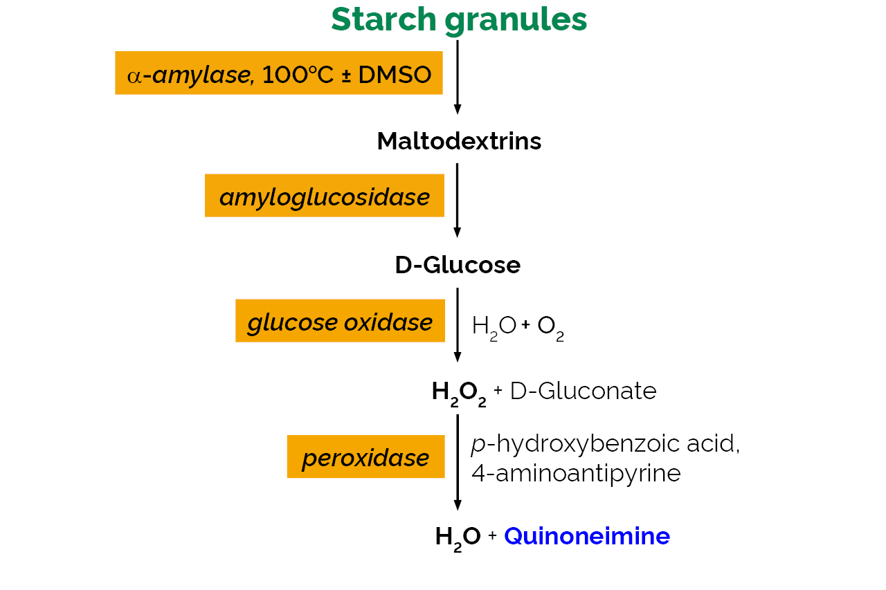 Total Starch Assay Kit (AA/AMG) (K-TSTA) Scheme Total Starch Assay Kit (AA/AMG) (K-TSTA) Scheme