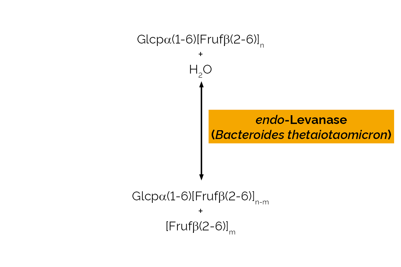 endo-Levanase (Bacteroides thetaiotaomicron) (E-ENLEV) Scheme