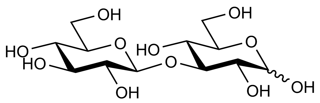 Laminaribiose (O-LAM2)