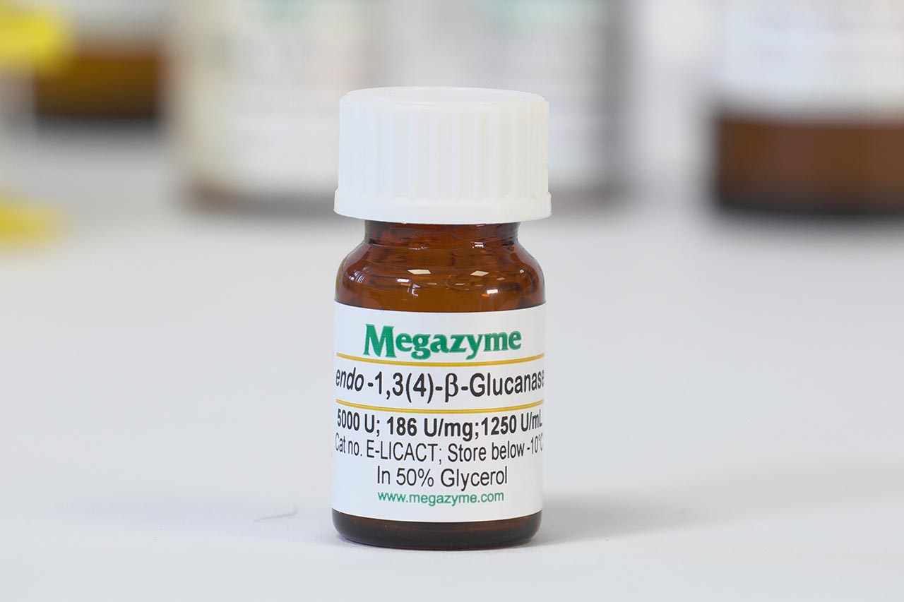 Non-specific endo-1,3(4)-beta-Glucanase (Clostridium thermocellum) (E-LICACT) Non-specific endo-1,3(4)-beta-Glucanase (Clostridium thermocellum) (E-LICACT)