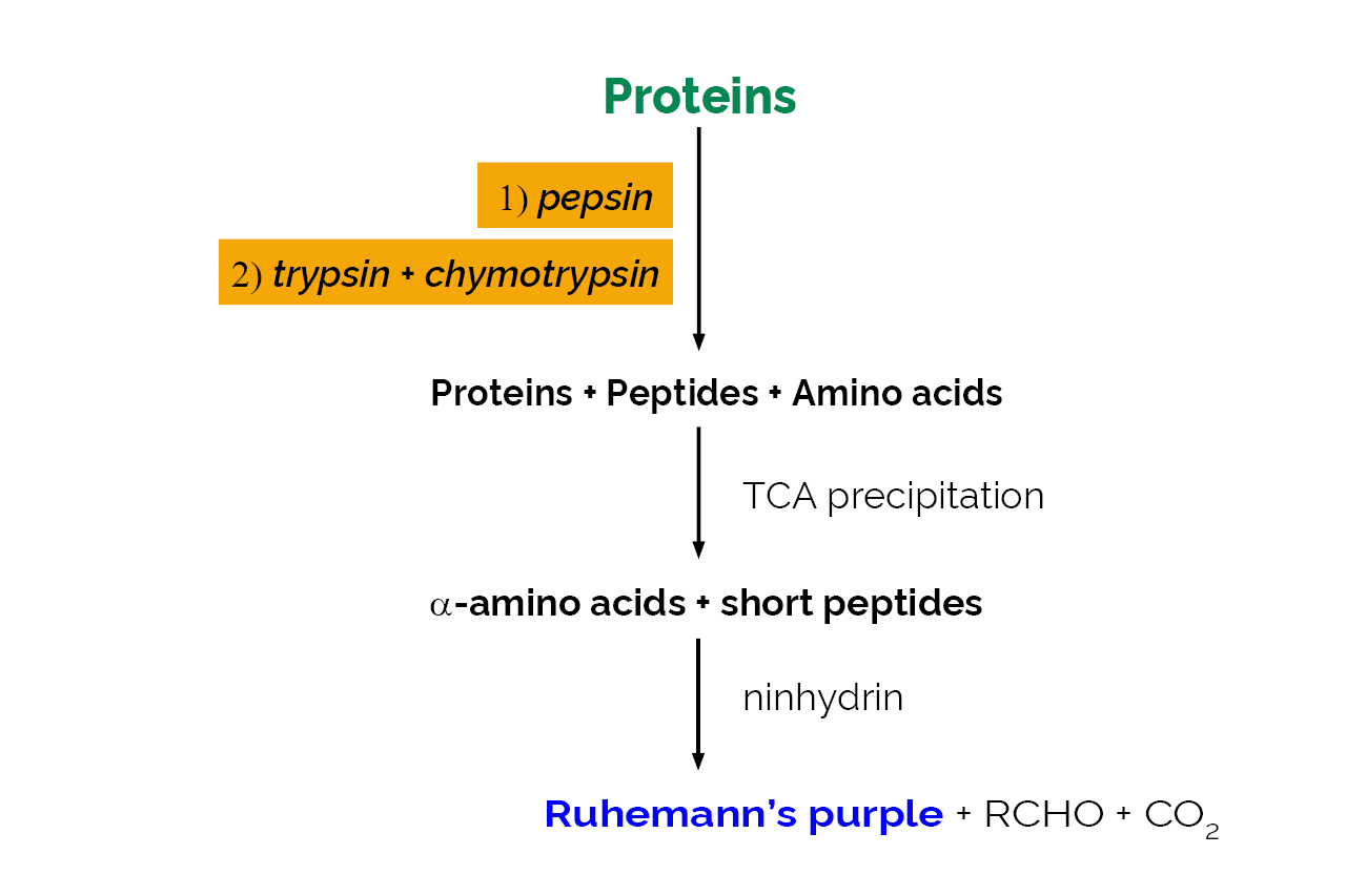 Protein Digestibility Assay Kit (K-PDCAAS) Scheme
