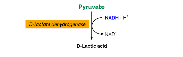 Scheme-K-PYRUV PYRUV Megazyme