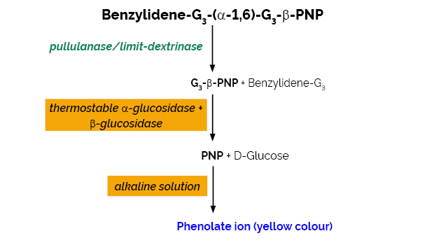 Scheme-K-PullG6 PullG6 Megazyme
