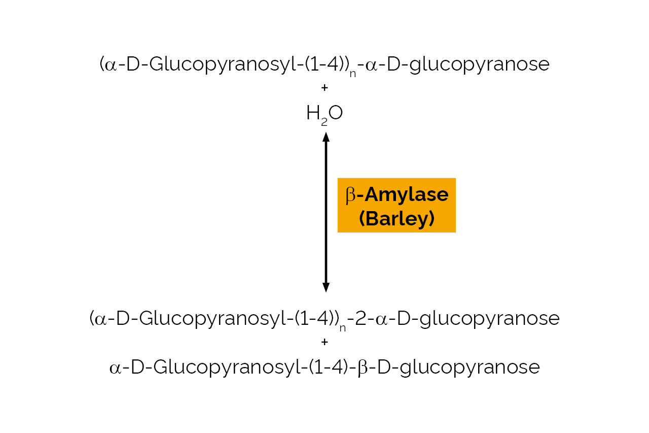 Beta-Amylase (Barley) Powder (E-BARBP) Scheme