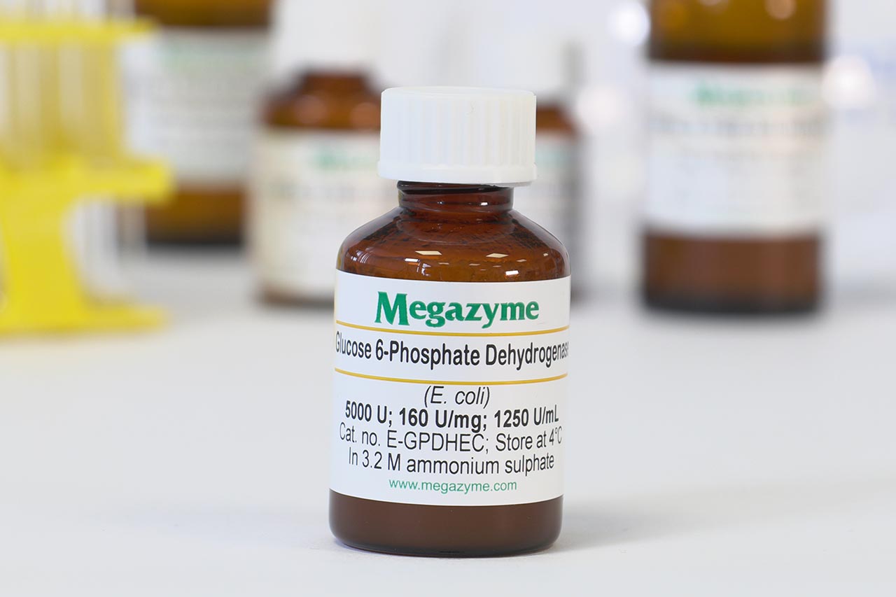 Glucose-6-phosphate dehydrogenase (Escherichia coli) (E-GPDHEC) Glucose-6-phosphate dehydrogenase (Escherichia coli) (E-GPDHEC)