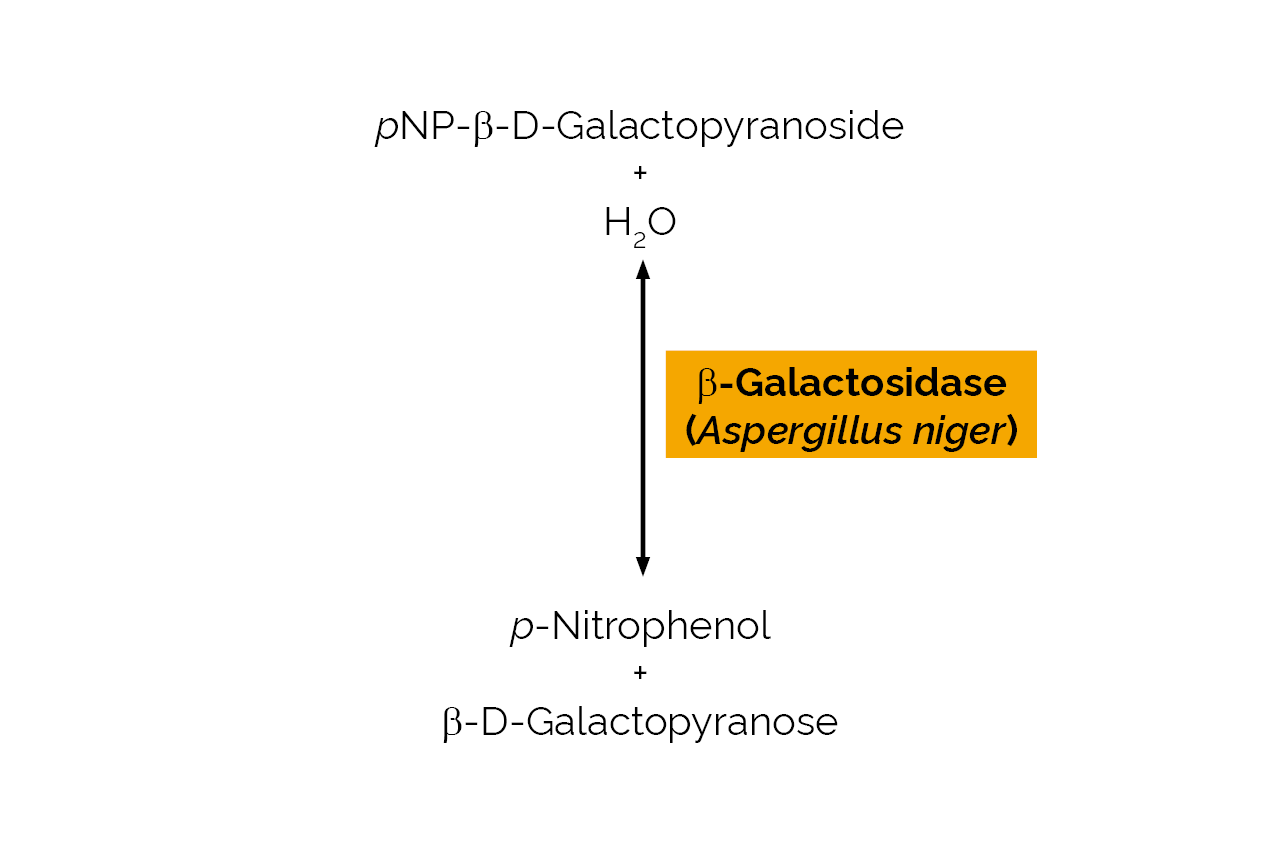 Beta-Galactosidase (Aspergillus niger) (E-BGLAN) Scheme