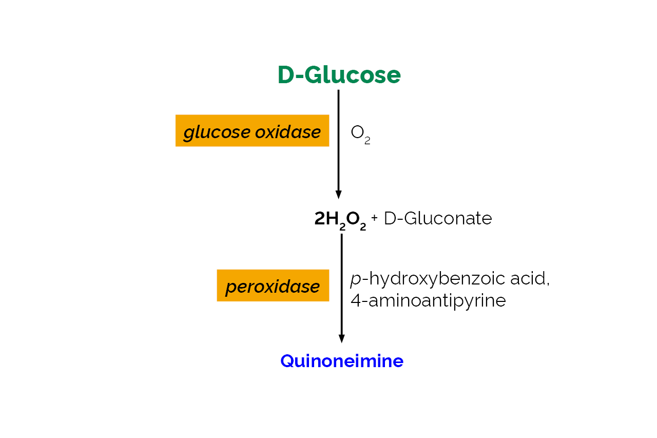 D-Glucose Assay Kit (GOPOD Format) (K-GLUC) Scheme