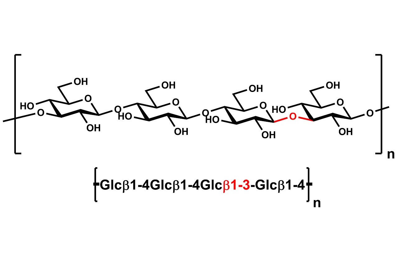 Beta-Glucan (Barley High Viscosity) (P-BGBH)