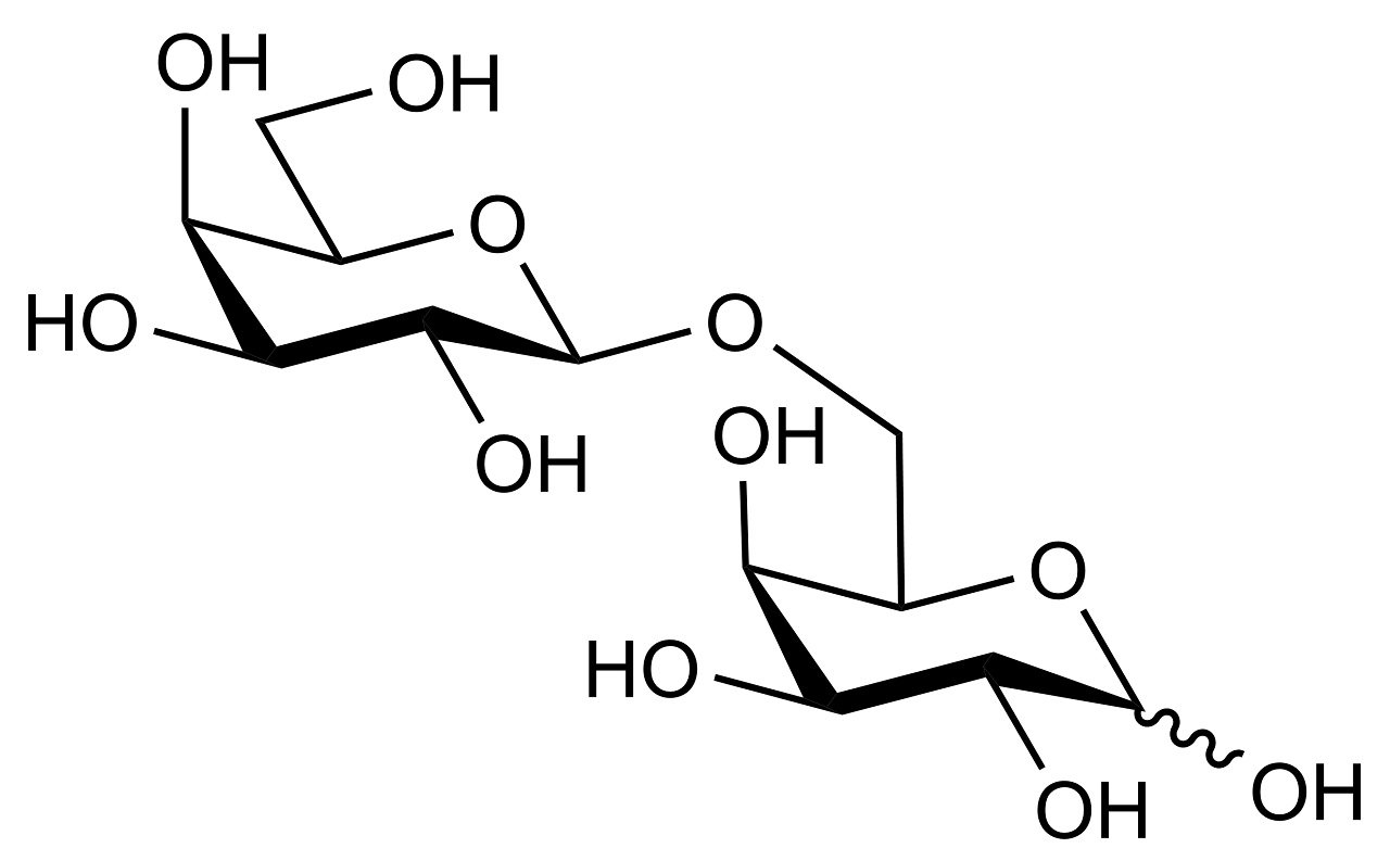 1,6-beta-D-Galactobiose (O-GBI6) 1,6-beta-D-Galactobiose (O-GBI6)