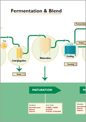brewing-info