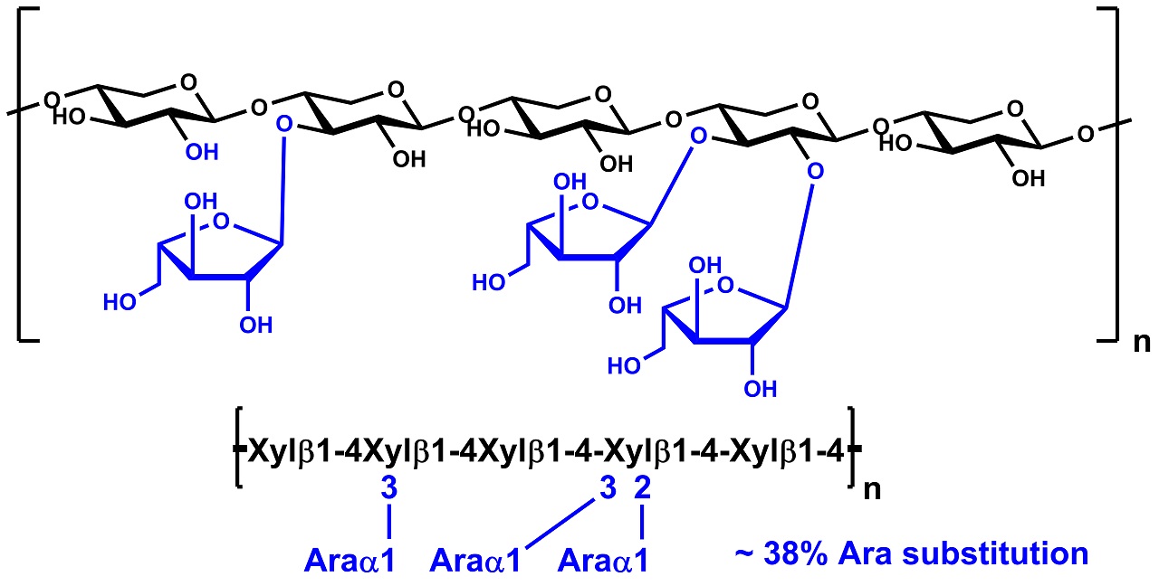 Arabinoxylan (Wheat Flour Low Viscosity) (P-WAXYL)