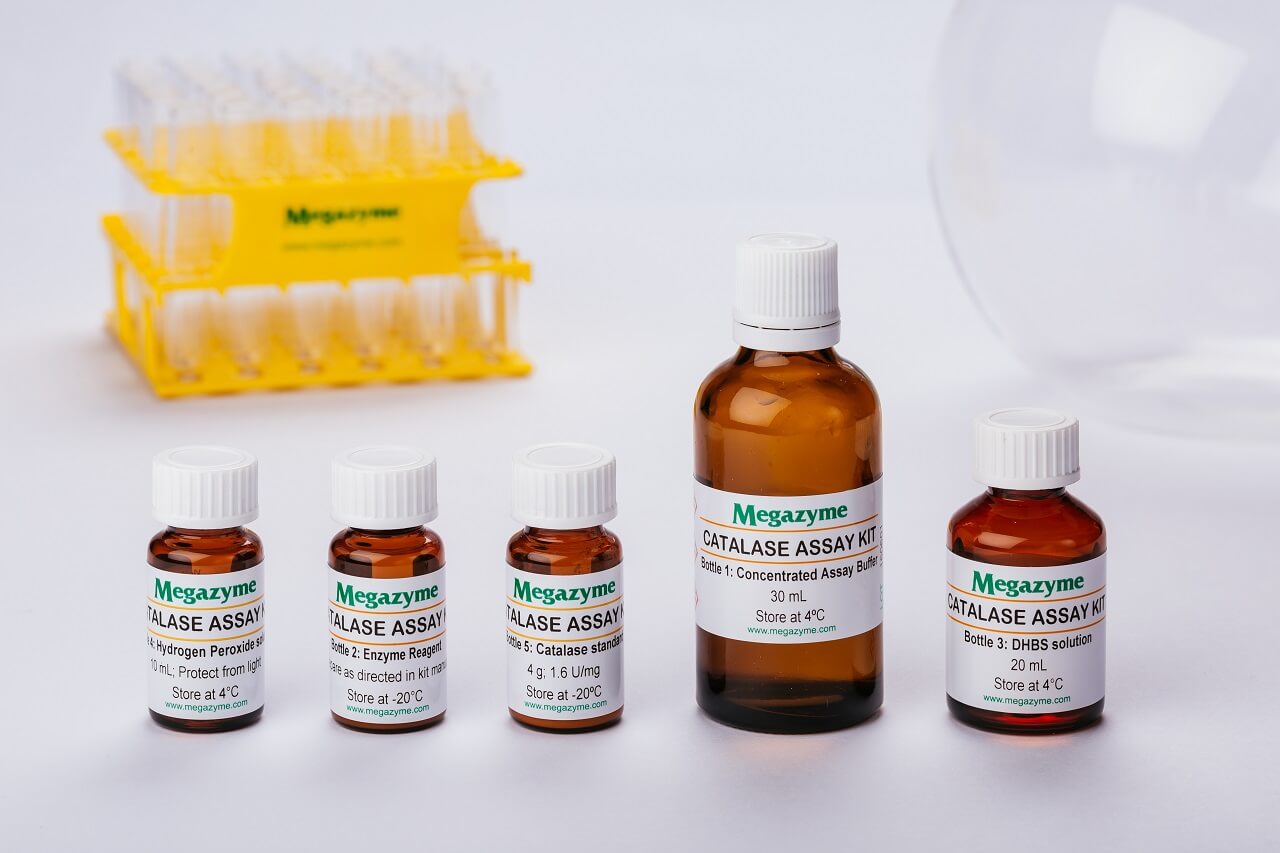 Catalase Assay Kit (K-CATAL) Catalase Assay Kit (K-CATAL)