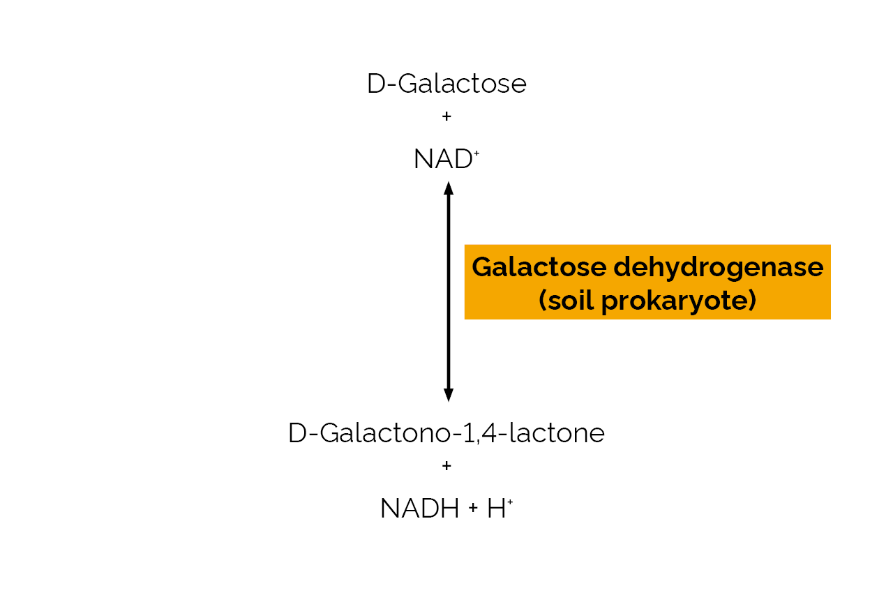 Galactose dehydrogenase (soil prokaryote) (E-GALDH) Scheme Galactose dehydrogenase (soil prokaryote) (E-GALDH) Scheme