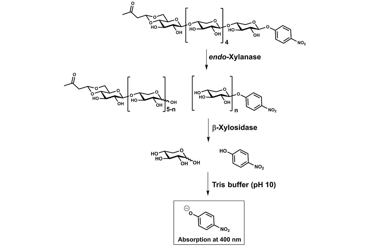 Xylanase Assay Kit (XylX6 Method) (K-XylX6) Xylanase Assay Kit (XylX6 Method) (K-XylX6)