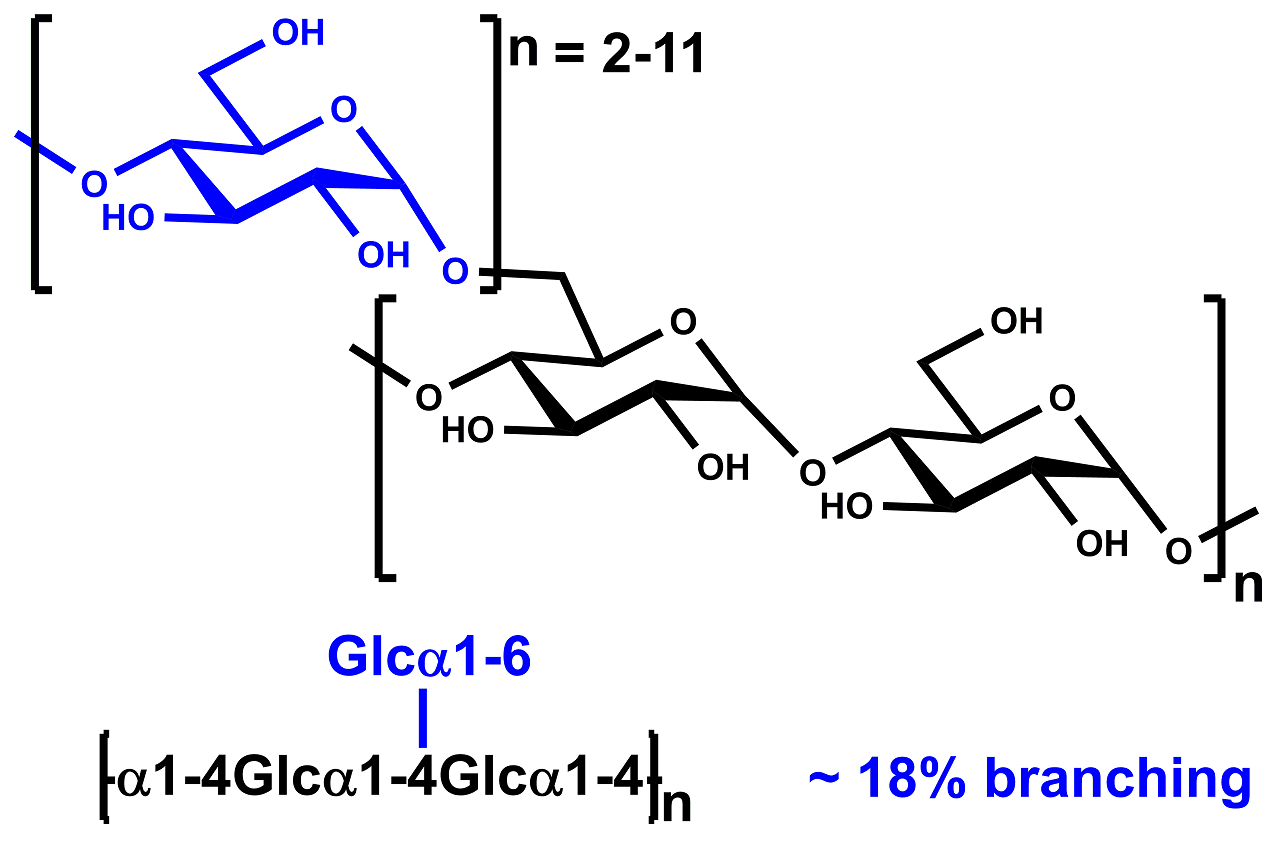 Glycogen (Algae) (P-GLYAL)